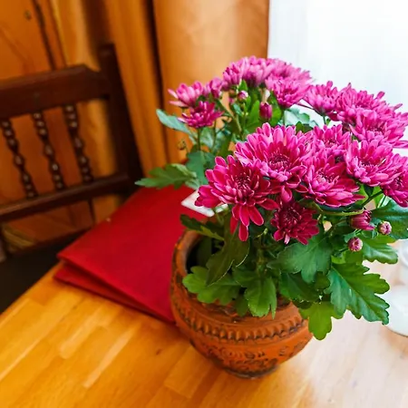 Avion - Self Check In ホテル