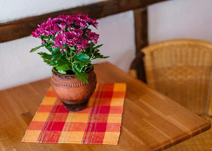 Avion - Self Check In 3*