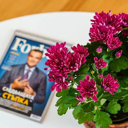 Avion - Self Check In 3* פלובדיב